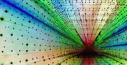 The Information Asymmetry Machine: Truth Social’s API and the Decentralization Imperative